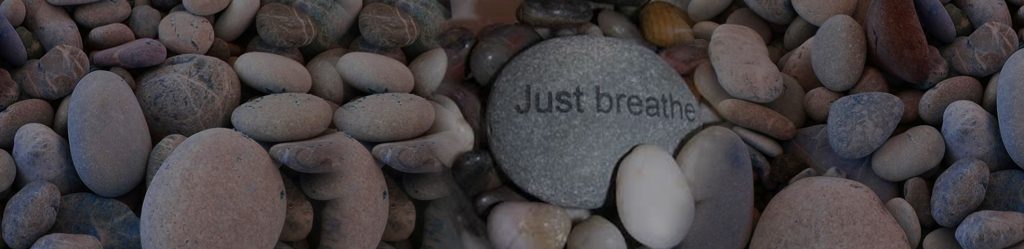 banner1