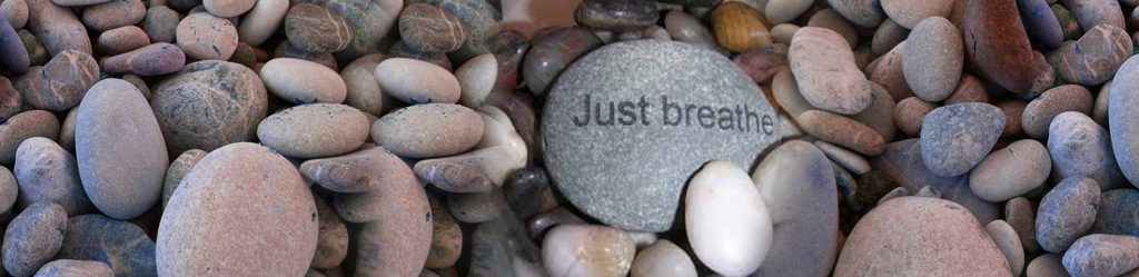 banner1